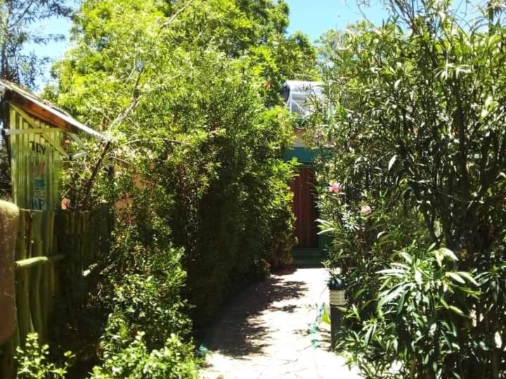 Xenia Bed & Breakfast Windhoek Exterior photo
